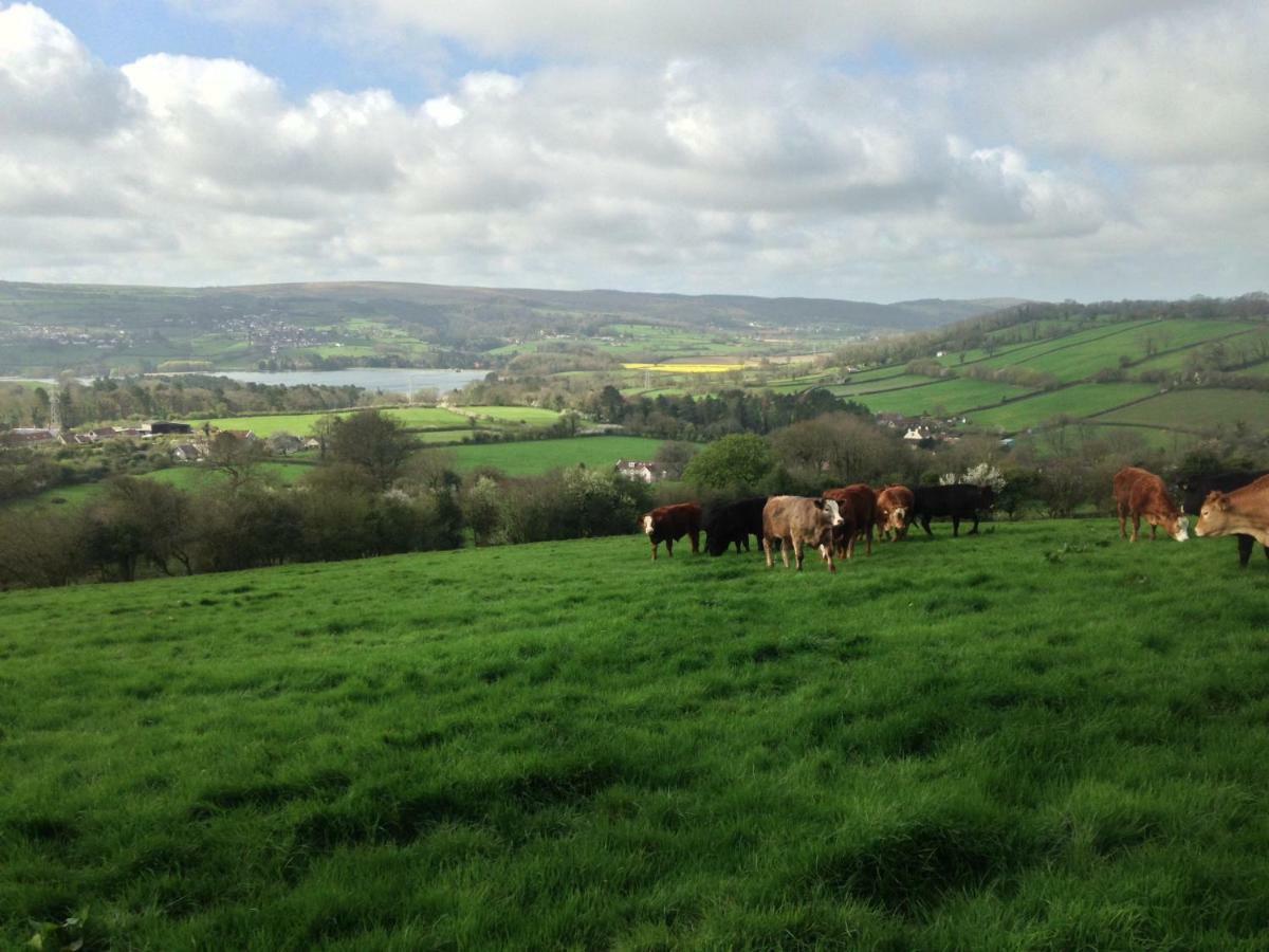 شقة Brinsley Barn Blagdon المظهر الخارجي الصورة