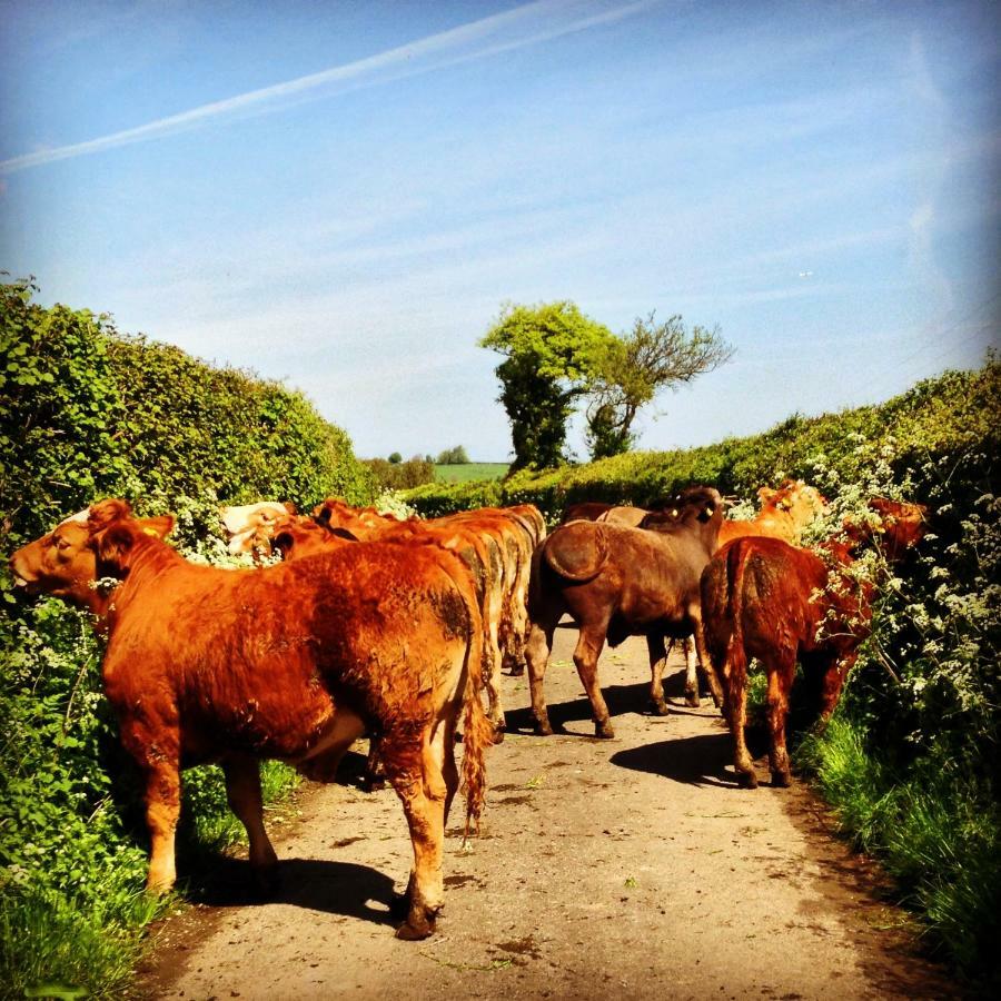 شقة Brinsley Barn Blagdon المظهر الخارجي الصورة
